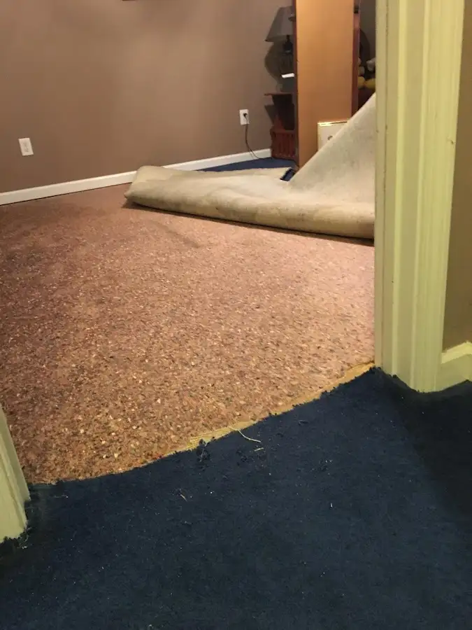 Carpet pad removal revealing water damage during Drying & Dehumidification in Fergus Falls