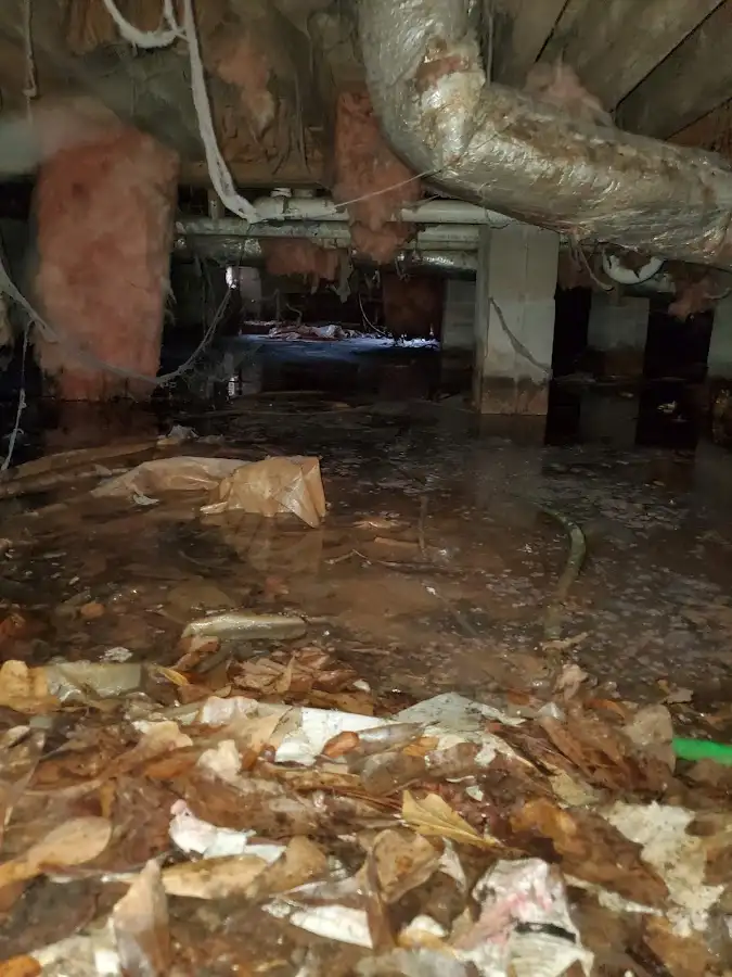 Crawl space flood assessment for Leak Detection & Repair in Fergus Falls