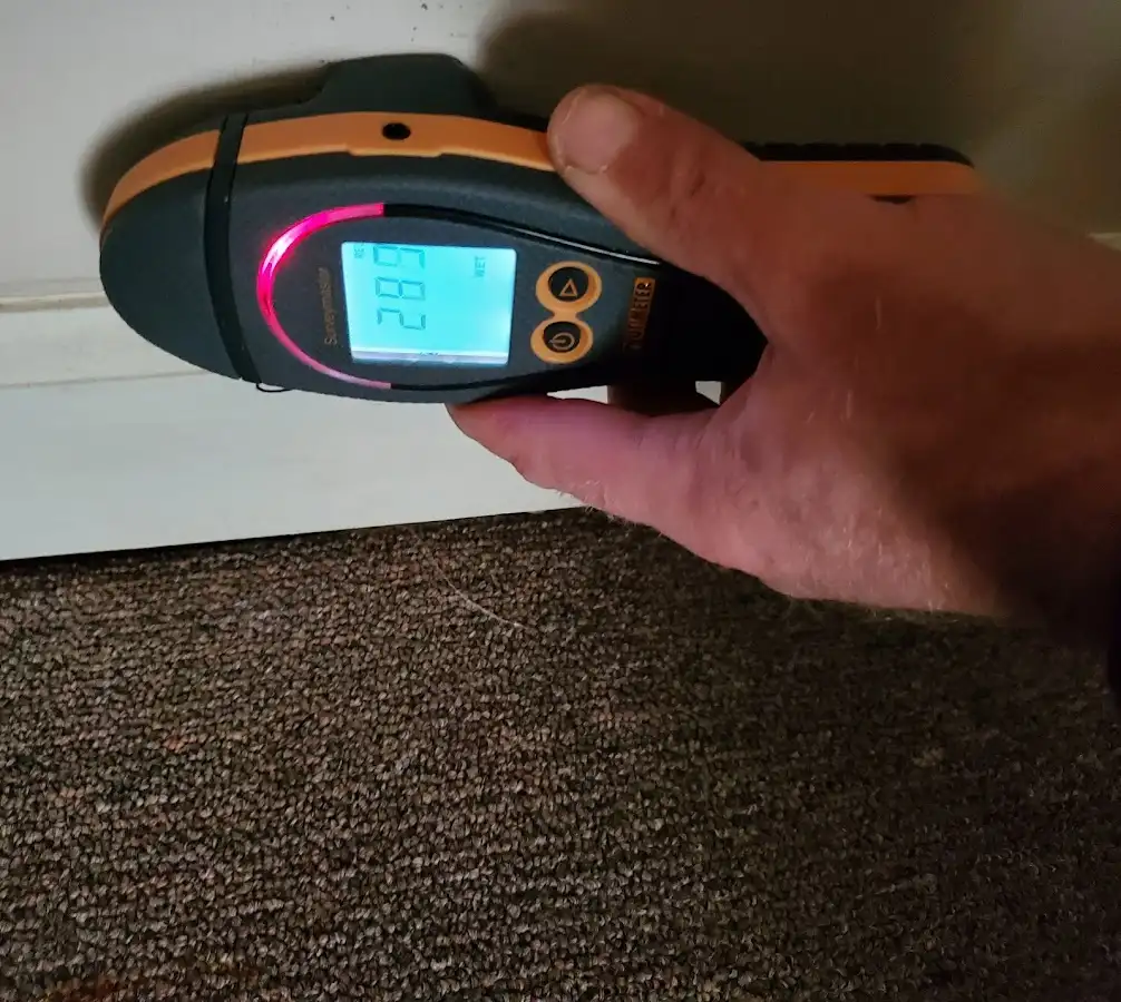 Moisture detection at baseboard during Sewage Cleanup & Sanitation in Fergus Falls